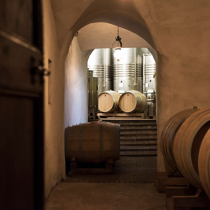 Wine cellar Castello di Montegiove